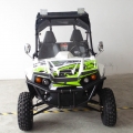 UTV al lado de carretera 300 