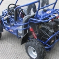 Buggy de la gasolina de los niños 200cc precio de fábrica 